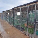 A row of black averies for seabirds to rehabilitate